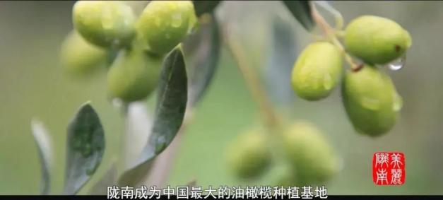 陇南地震_陇南_陇南汽车站