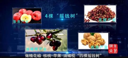 陇南_陇南地震_陇南汽车站
