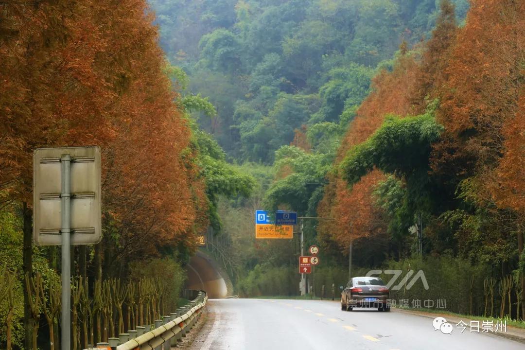 崇州这两条"高颜值"公路,惊艳初冬