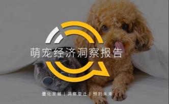 QuestMobile2020萌宠经济洞察报告