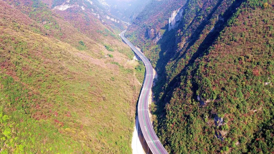 西乡至镇巴高速公路正式通车运营 至此 地处秦巴山深处的 镇巴县彻底