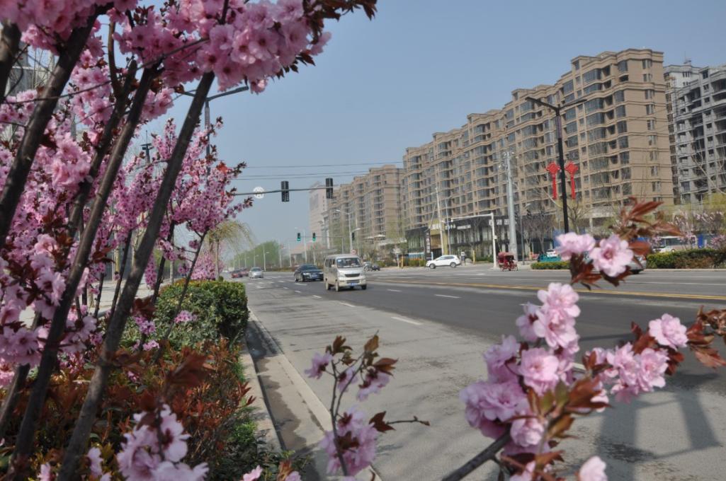 正在公示开封多家单位小区道路上榜