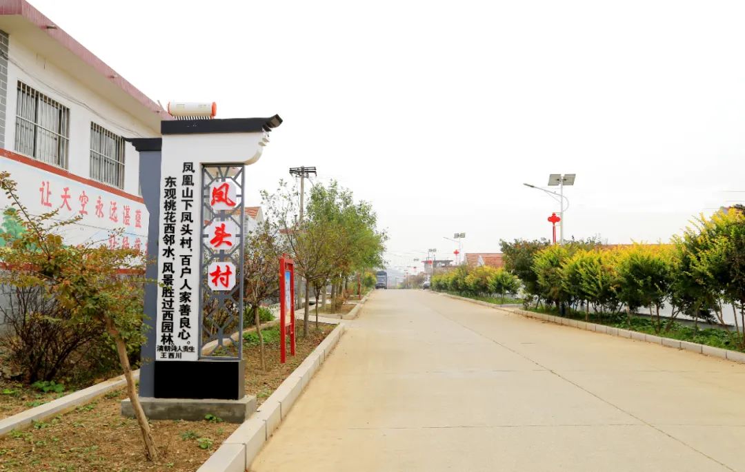 我家街巷最美系列展示烟台市莱阳市姜疃镇凤头村