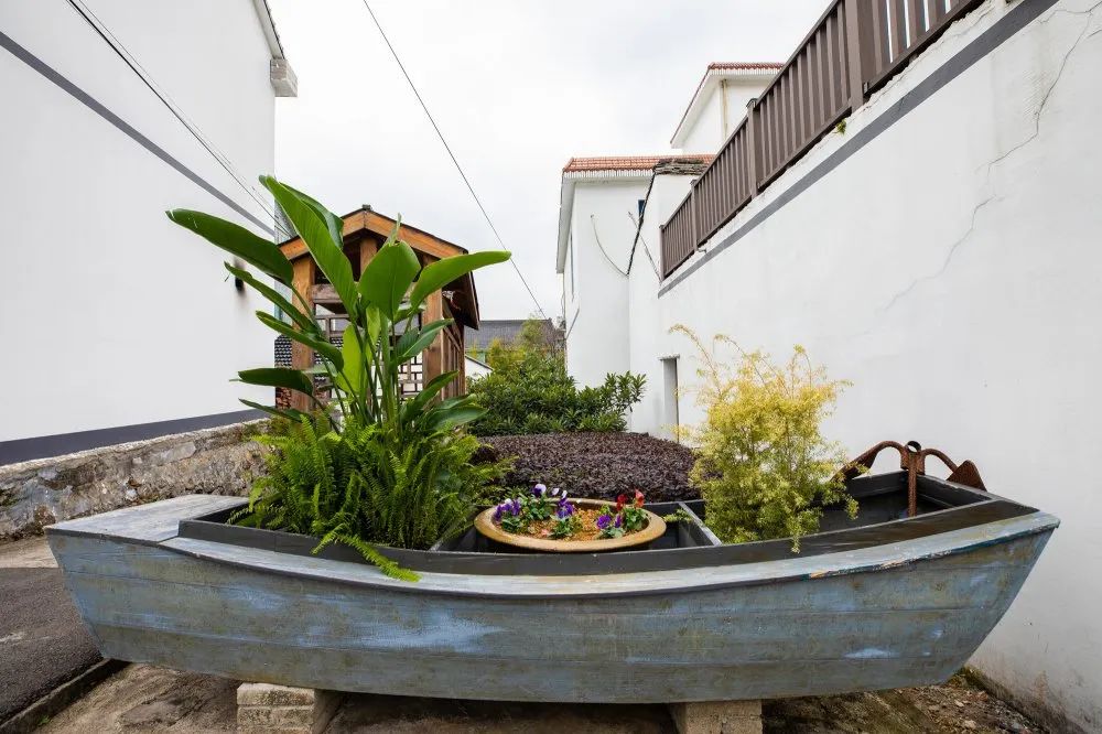 庭院美村庄靓美丽庭院精品村示范村创建验收成果啦