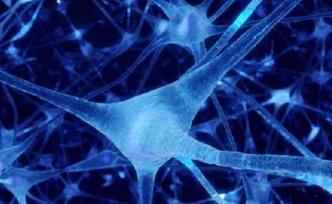 《科学》：新型抑制剂有望治疗神经退行性疾病