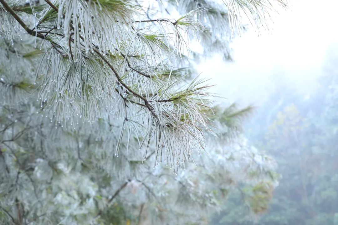 雾气沆砀图片