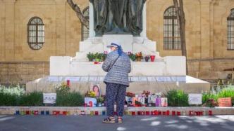 记者母亲被炸死，三兄弟化身“特工”，扳倒马耳他政府