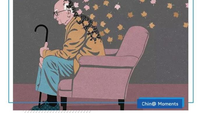 澎湃新闻 专注时政与思想 thepaper.cn