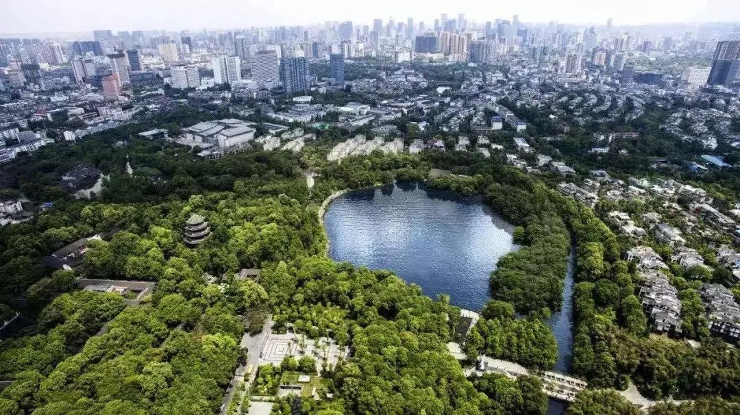 這座城市關於公園的想象都在這片萬畝溼地裡了