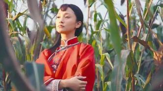 高粱曾是华北农民的“救命粮”，为什么现在很少有人种植了？