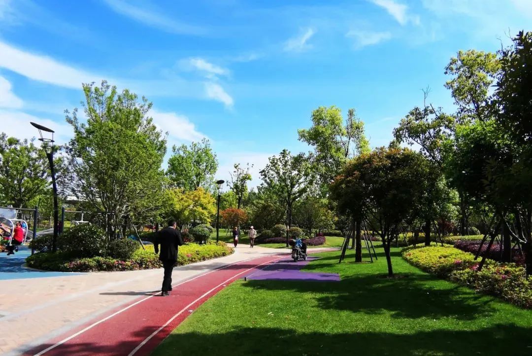 闵行城市绿道已达180公里附路线全攻略
