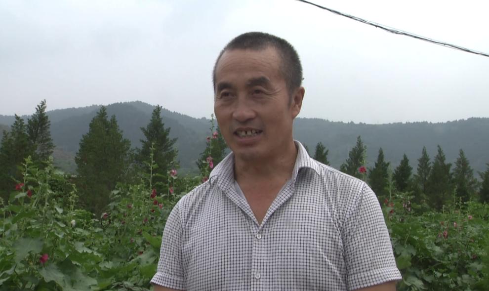 【讲扶贫故事】张会林:从打工仔到脱贫致富的带头人