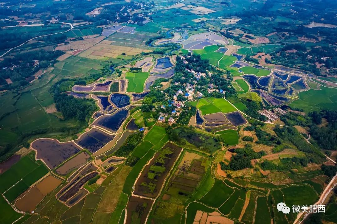 乡村振兴山南镇产权改革赋能乡村振兴