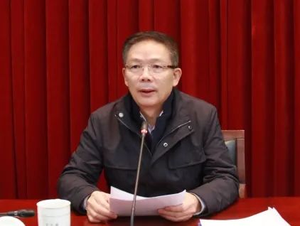 王正泉代表政协党组对中共党员常委履职建言进行点评.