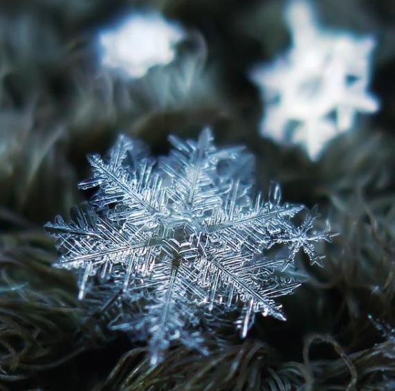 浪漫的执着 雪花, 渺小又脆弱, 人们容易凝视鹅毛大雪, 却常常忽略