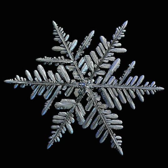 9年只拍一朵雪花他用一部烂相机把雪花拍出前所未见的美