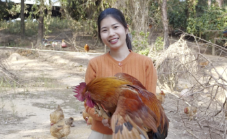 广西女生拒绝加班回农村卖鸡 称年轻人应帮助家乡摆脱贫困