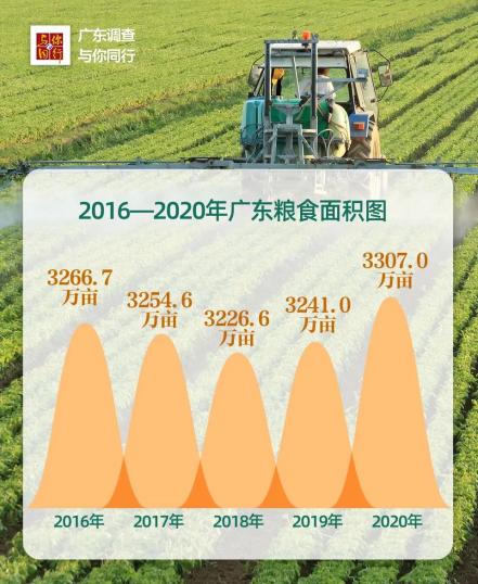 2020年,全省糧食作物播種面積3307.0萬畝,比上年增加66.1萬畝,增長2.