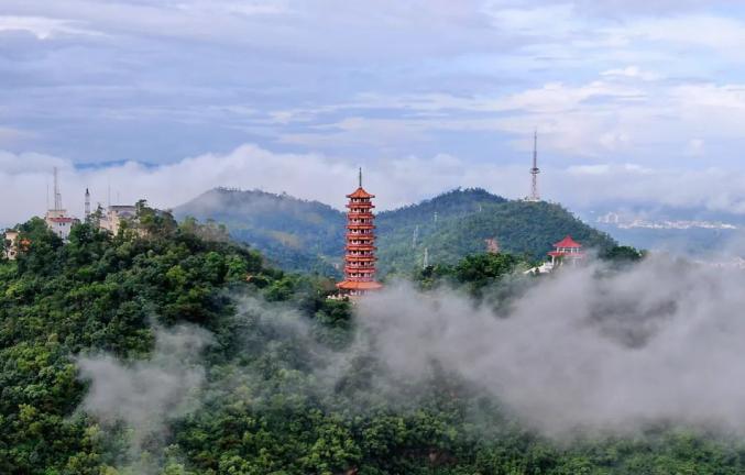 这个周末,约上三五知己去大雁山风景区看看~登山小贴士:1,留意天气