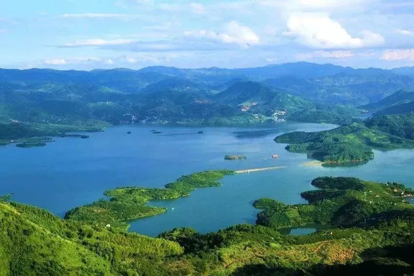 地方福建古田县支部领办合作社走出强村富民新路子