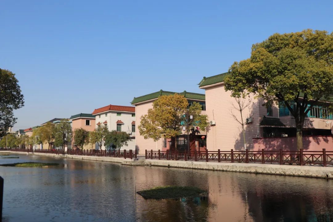 萧山这三个村变更美咯