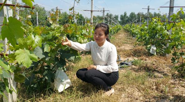 女村长 澎拜新闻