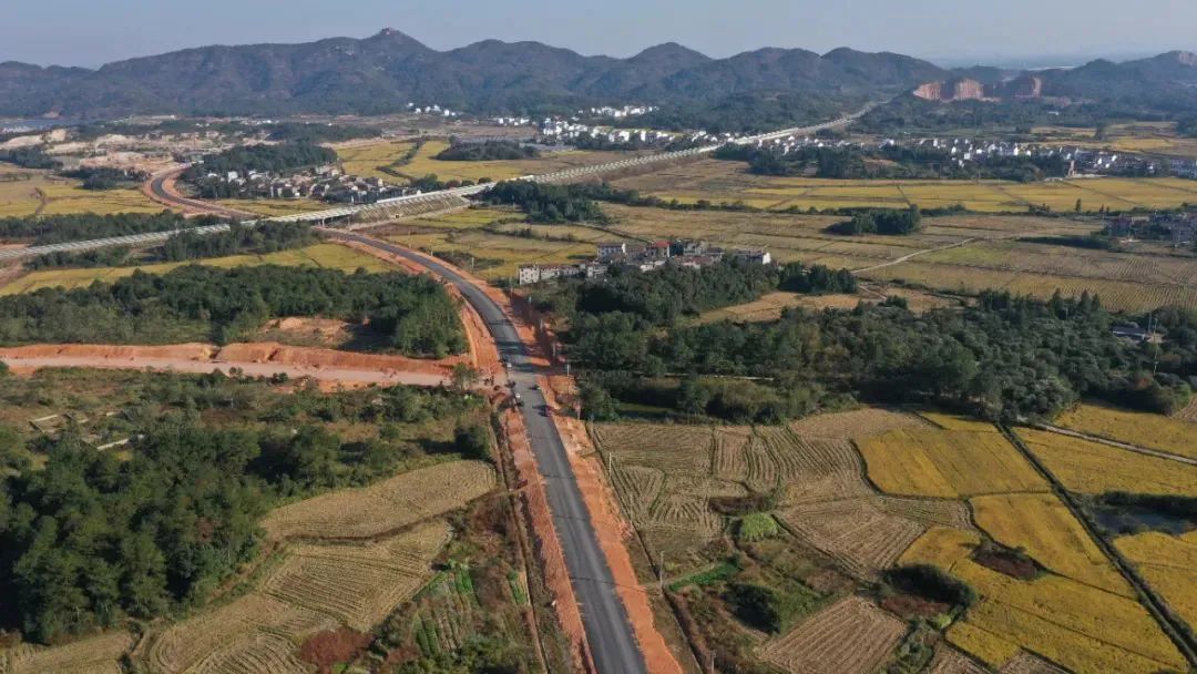 总长326km东临新区将新建十条道路