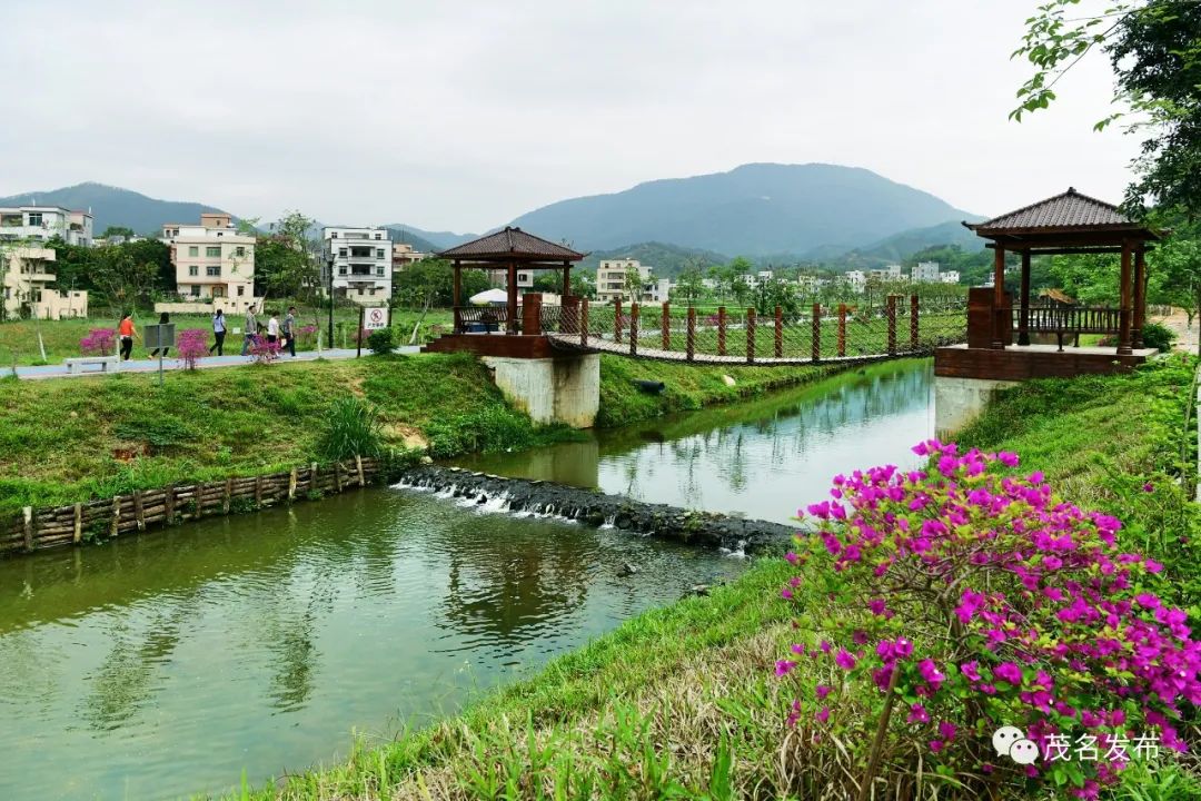 乡景乡韵乡情乡味看美在茂名乡村