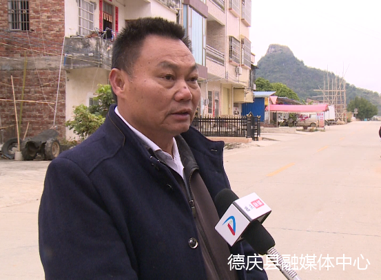 吃德庆紫淮山正当时德庆悦城镇罗洪村的紫淮山喜获丰收