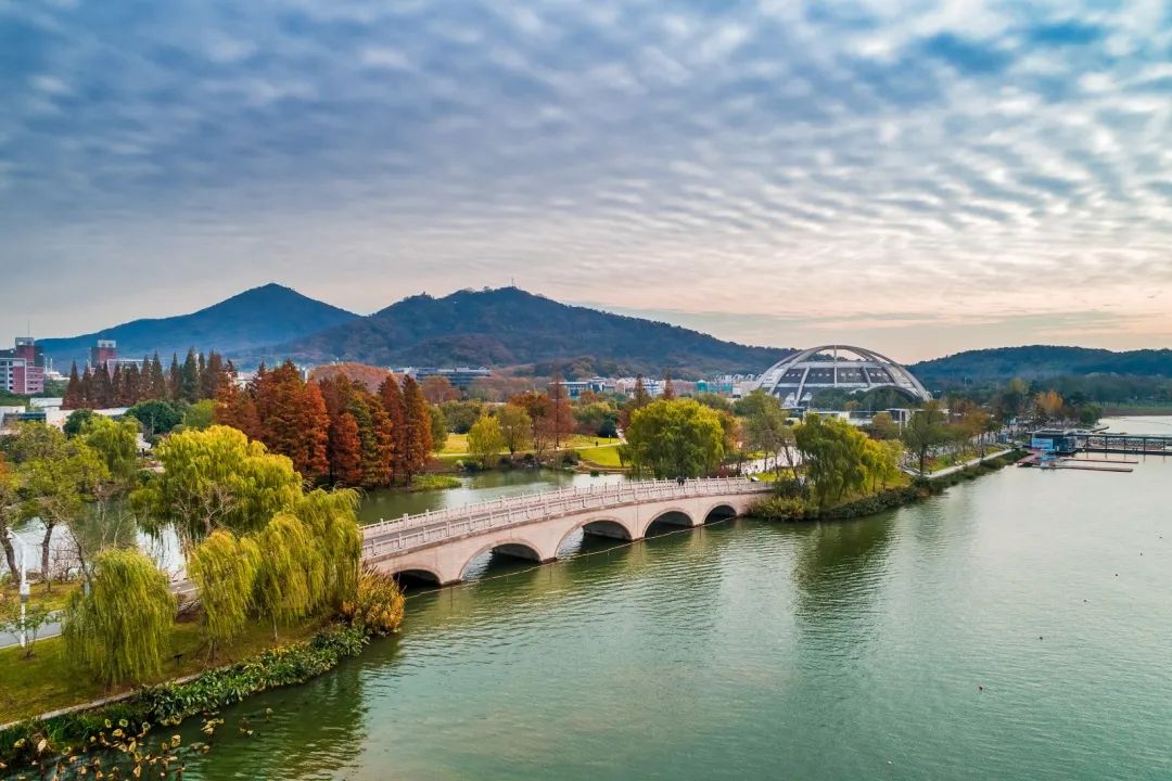 玄武湖壁纸级美图来了请查收