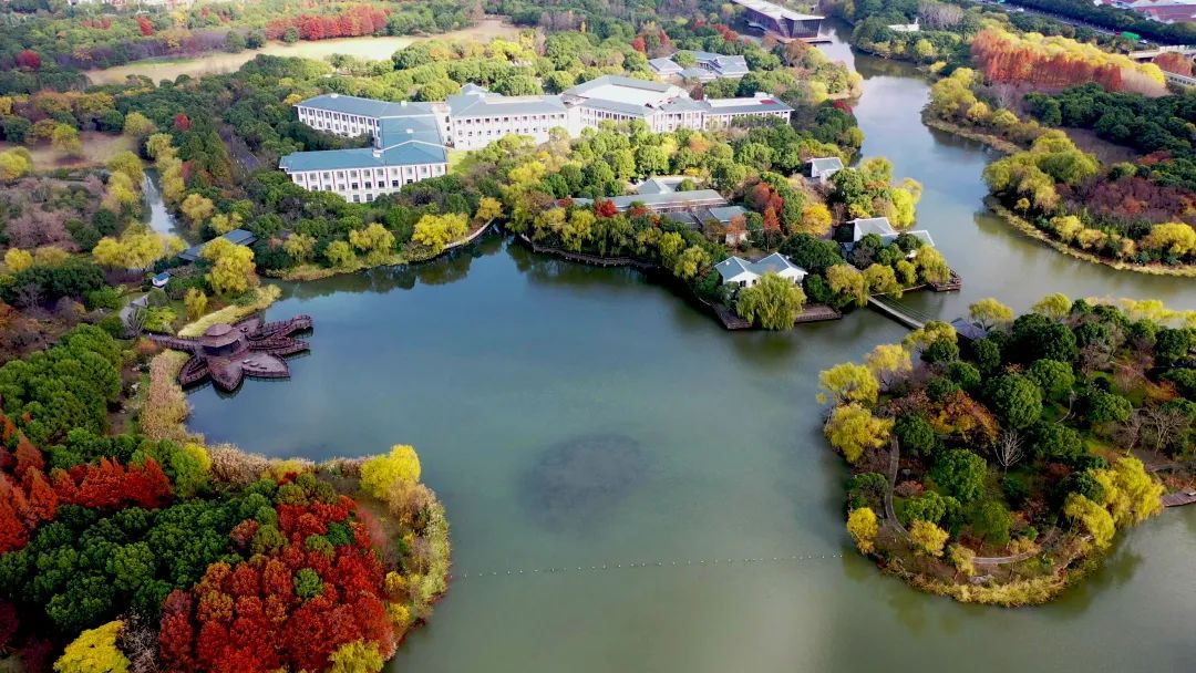 让我们变成巨人俯瞰顾村公园这个缤纷的世界