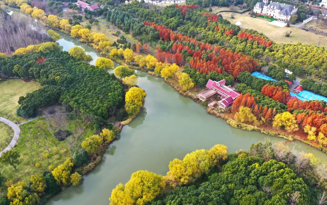 让我们变成巨人俯瞰顾村公园这个缤纷的世界