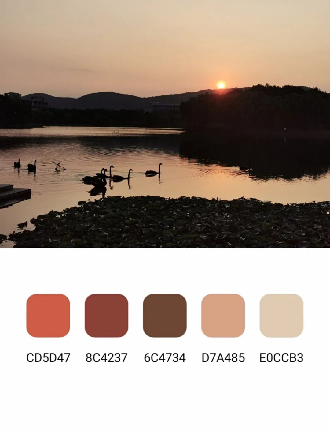 快来领取你的江南大学限定色卡吧