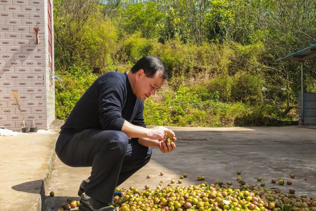 根据雷家田靠池塘的优势,彭文胜创造性地在全村首推鱼池塘混养的生态