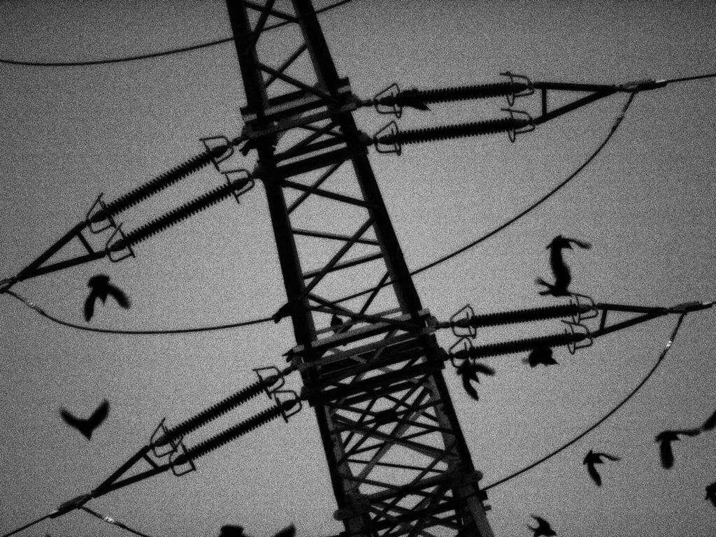 著名摄影师镜头下的仰拍他们不仅拍下黑漆漆的鼻孔