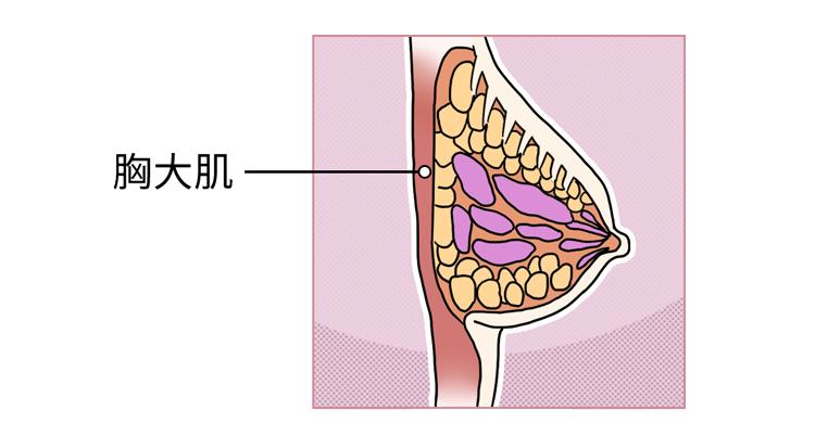 女生胸部變大史