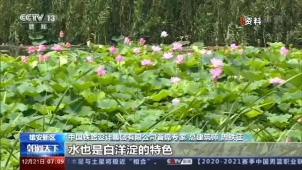爱我雄安新区