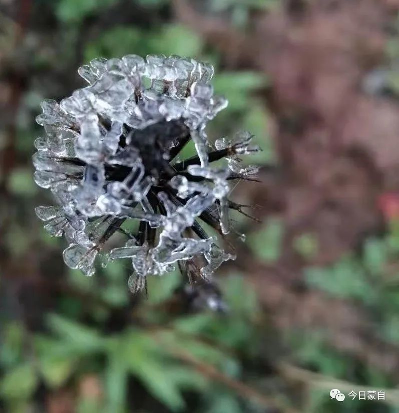 前方高冷预警!除了保暖和赏图,更重要的是......_澎湃号·媒体_澎湃新闻-The Paper