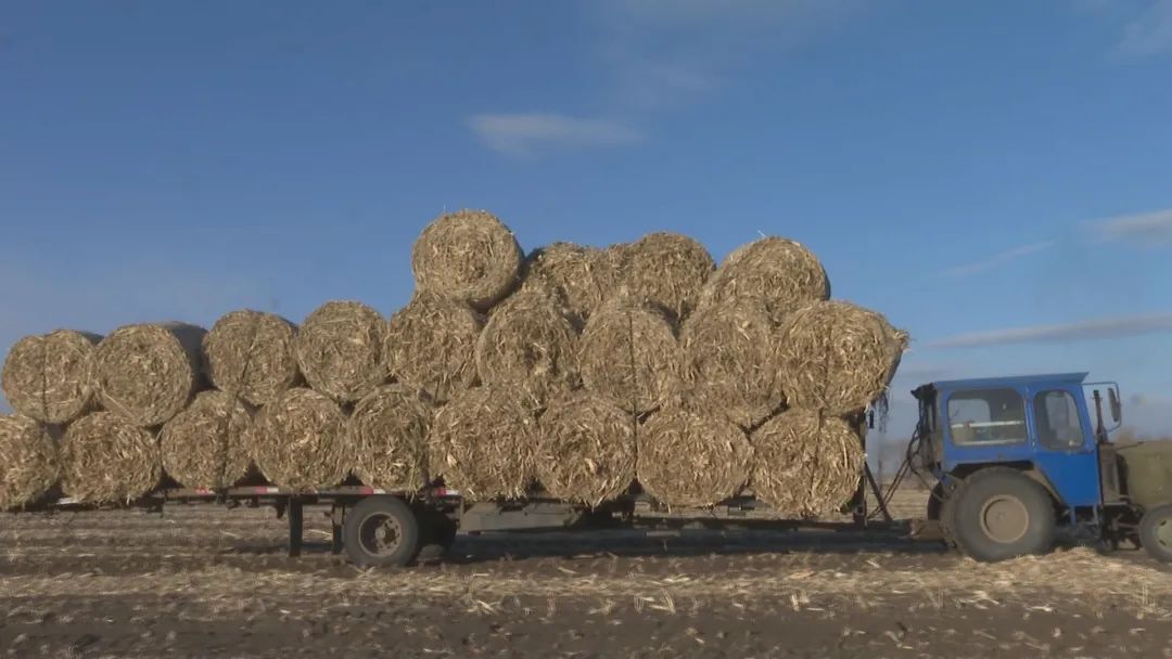 和盛乡加快秸秆离田进度
