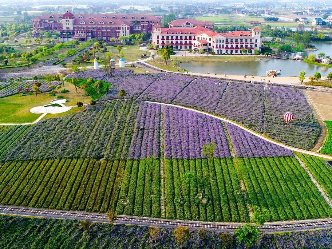 王店镇 嘉善县:大云镇 平湖市:钟埭街道 海盐县:西塘桥街道 海宁