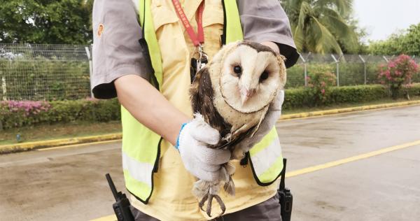 践行十九届五中全会精神美兰机场吴挺帅坚毅前行做好净空安全守卫人