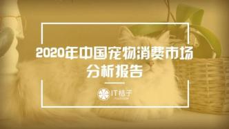 「氪金式」养宠氪出 2000 亿市场，年均 6000 的宠物消费将去往何方？