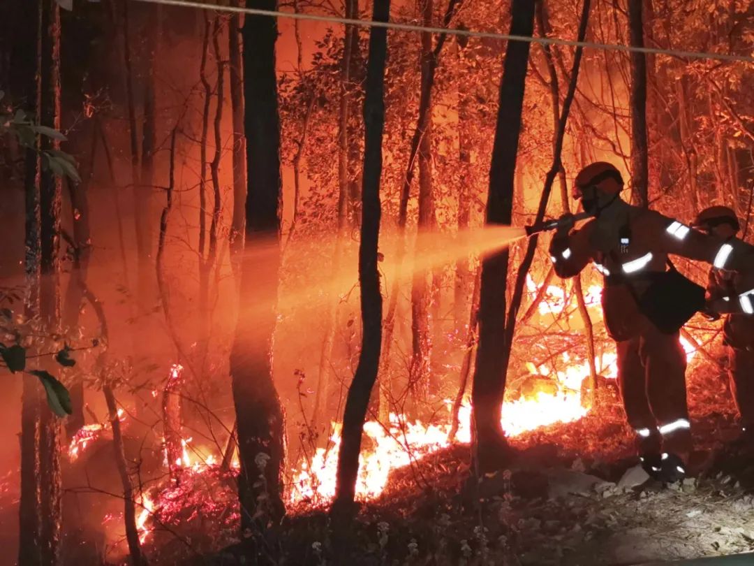 凉山州西昌市3·30森林火灾事件 调查结果公布