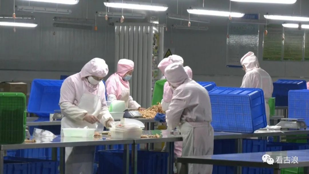 甘肃路斯宠物食品科技有限公司被拟评为甘肃省农业产业化重点龙头企业