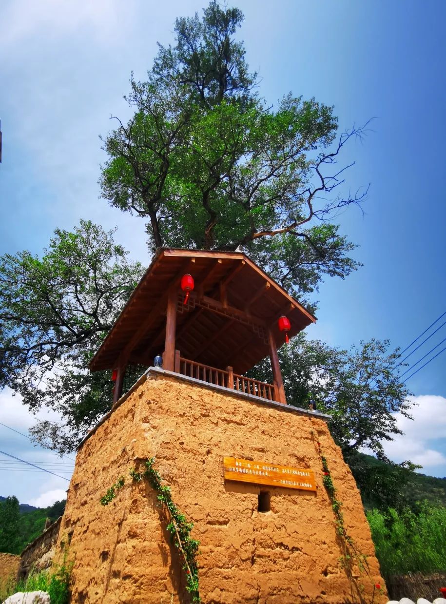 佛坪县袁家庄街道办事处,汉台区老君镇,洋县龙亭镇柳山村,留坝县玉皇