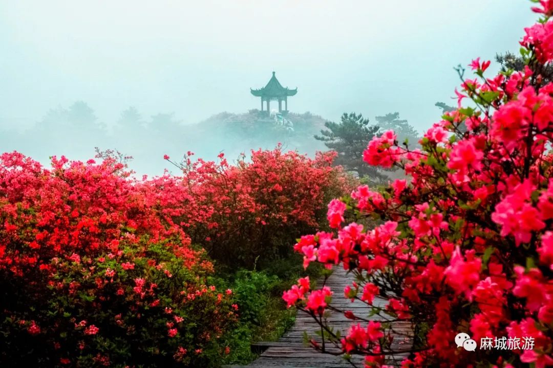 好消息——麻城龟峰山景区再获“国家级”名片!