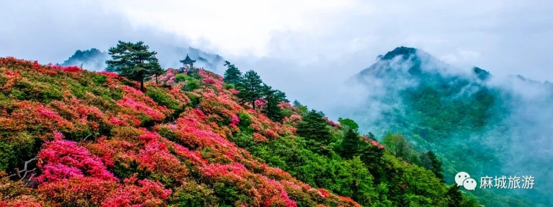 好消息——麻城龟峰山景区再获“国家级”名片！