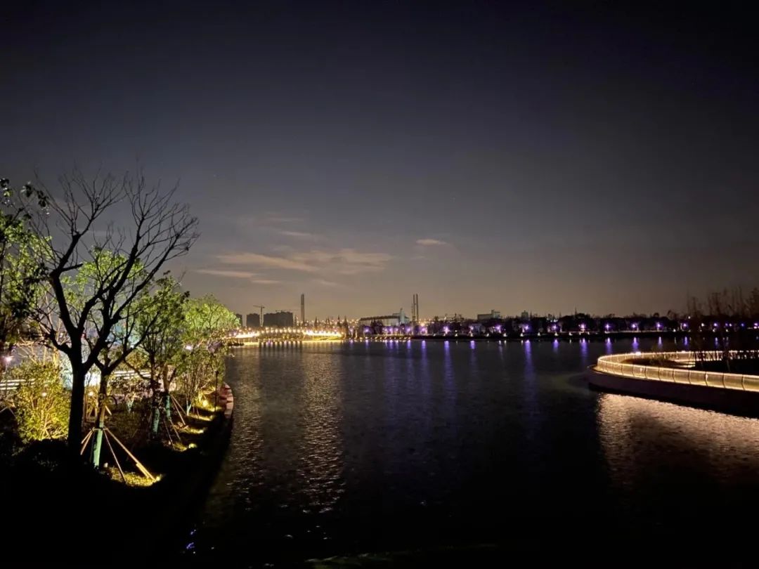 夜色中的闵行第一湖美轮美奂配上华师大教师原创歌赋请横屏观赏