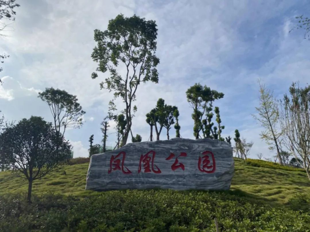 好消息内江这个公园明天正式开放