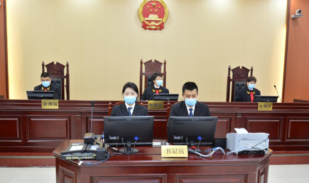 民告官能见官市政府副市长参加行政诉讼既出庭又出声